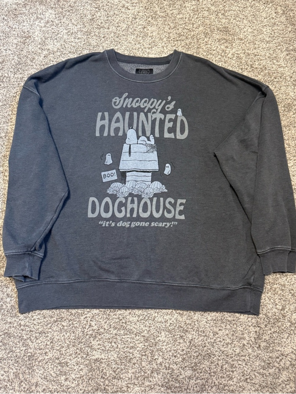 AE Snoopy Over Sized Crewneck